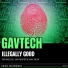 GavTech