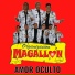 Organizacion Magallon