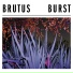 Brutus