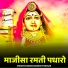 Sharwan Bagrva Punasar