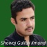 Showqi Gulali Ilmandi