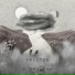 FRACTOR