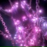 KUKURUZ