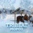 Tribeat