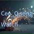 Cee Q