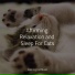 Cat Music Experience, Pet Care Club, RelaxMyCat