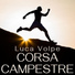 Luca Volpe