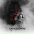 Annodomini