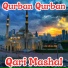Qari Mashal