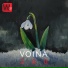 VOINA