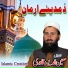 Moeen ud Din qadri