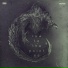 Crypsis