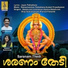 Pramod Pattambi