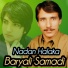 Baryali Samadi