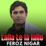 Feroz Nigar