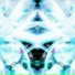 SFXYy