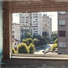 Sebastian Riegl