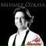 Mehmet Ozkaya