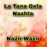 Nazir Wazir