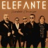 Elefante