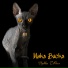 MAKS BUCKS