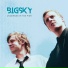 Bigsky