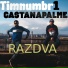 Timnumbr1, castanapalme