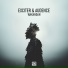 Exciter, Audence