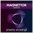 Magnettor
