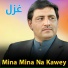 Aminullah Marwat