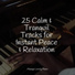 Piano Masters, Gentle Piano Music, Calming Piano
