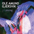 Ole Amund Gjersvik