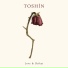 Toshín