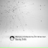 Fourth Dimension, Stimulus Timbre