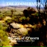 The Zimmermen