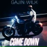 Gajin Wilk