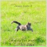Calming Cat Music