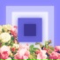 Shotacore