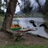 DopperTheDuck