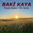 Baki Kaya