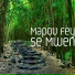 Mapou Fèy