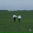 Лучиа, Melis Treat, Maend, rxtxrnxl
