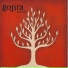 GOJIRA-THE LINK - 2003