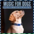 Relax My Dog, Dog Music Dreams