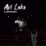Avi Lake