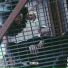 VER$OVVO, Maloy shivy