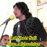 Lal Sheer Safi