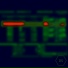 Genotype