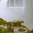 Springintgut