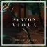 Ayrton Viola